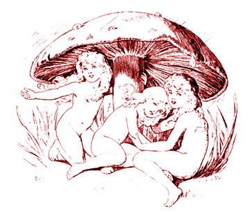 LEWIS CARROL (1833-1893) Naissance d’une nymphette ou les Aventures Souterraines d’Alice (au Pays des Merveilles) LEWIS CARROL (1833-1893) Naissance d’une nymphette ou les Aventures Souterraines d’Alice (au Pays des Merveilles)